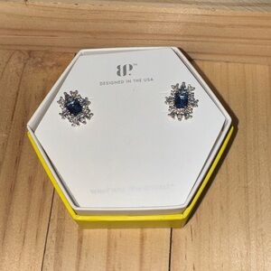 BP Blue and Silver Earrings